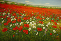 Distesa di papaveri